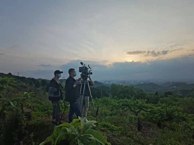 创意破圈！海城市电商产品宣传视频用故事化叙事引爆流量