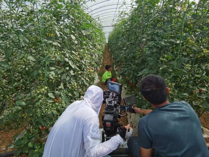 海城市产品宣传视频拍摄公司进阶指南，助力品牌抢占传播高地